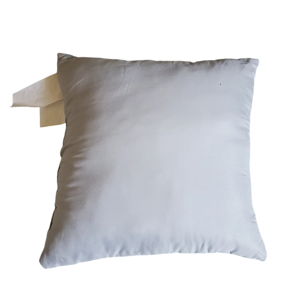 Two Accent Pillows Gray/ White Home Decor